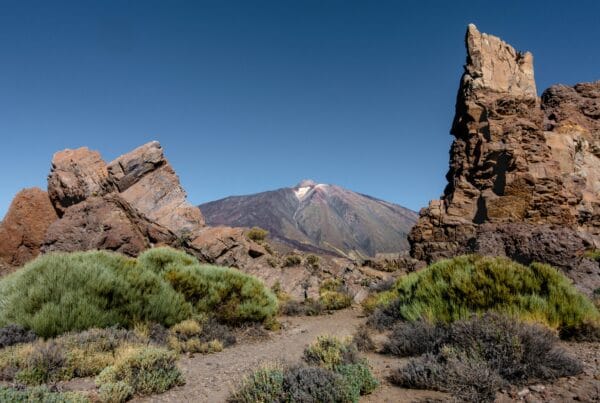psicólogos baratos tenerife