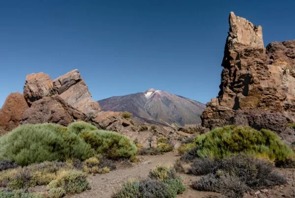 psicólogos baratos tenerife