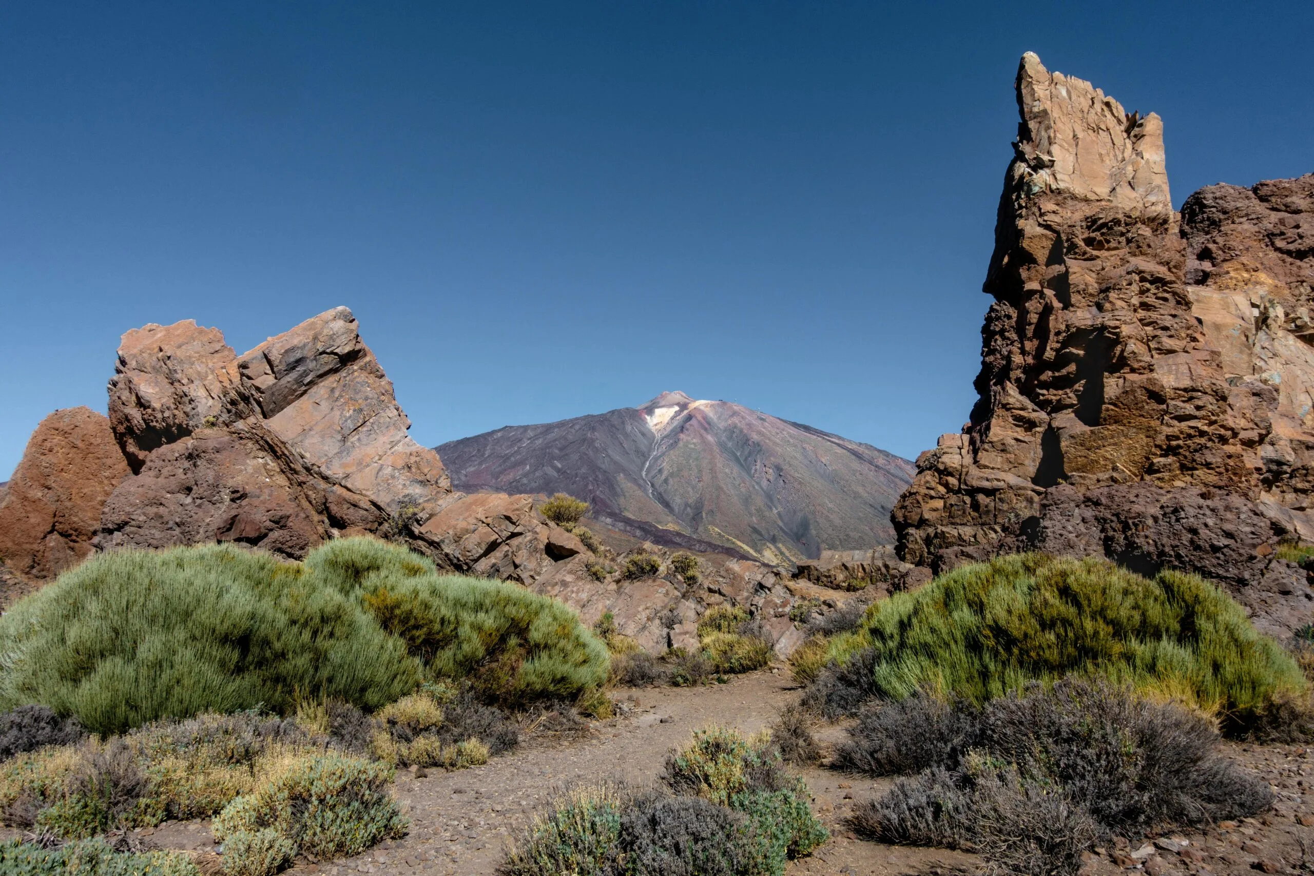 psicólogos baratos tenerife