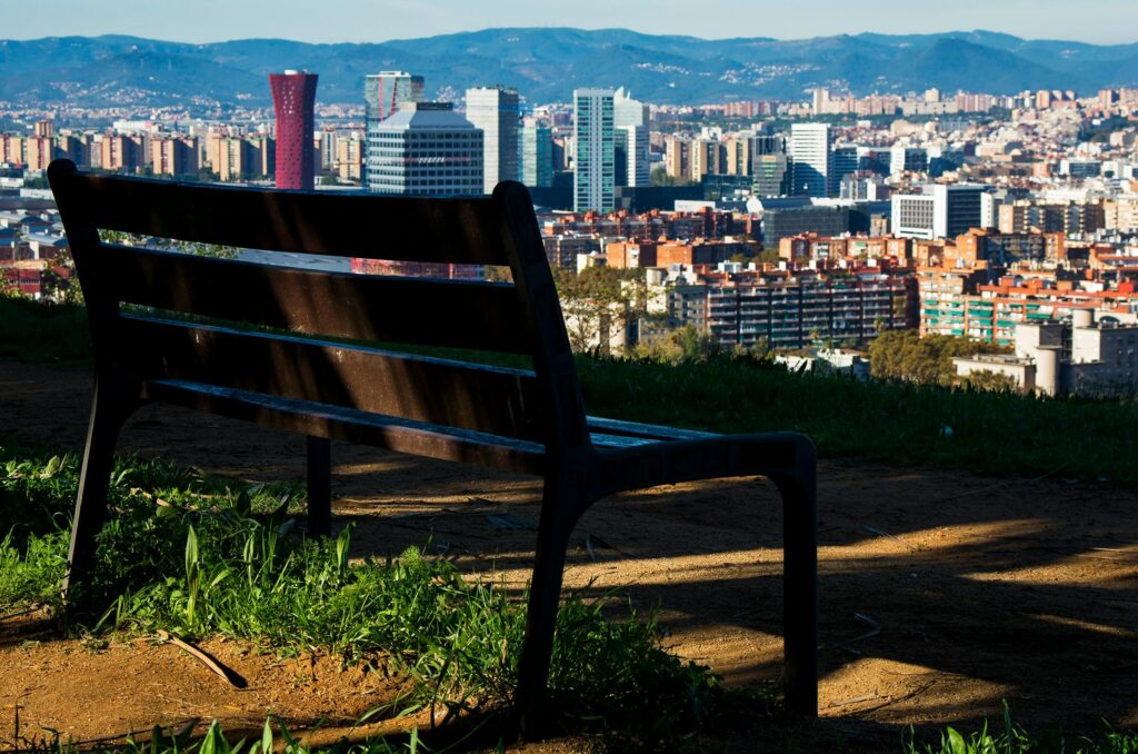 Encuentra Psicólogos Baratos en Barcelona 1 pexels carlos pernalete tua 210498 674736
